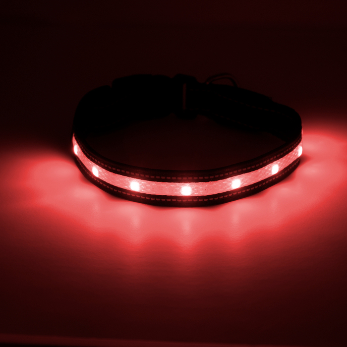 LED-halsband t/hund 45-47 cm Petzone